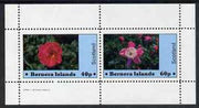 Bernera 1982 Flowers #06 perf,set of 2 values (40p & 60p) unmounted mint