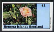 Bernera 1982 Flowers #06 imperf,souvenir sheet (£1 value) unmounted mint