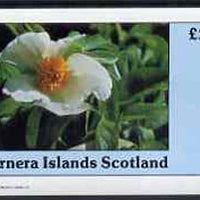 Bernera 1982 Flowers #06 imperf,deluxe sheet (£2 value) unmounted mint