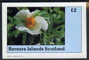 Bernera 1982 Flowers #06 imperf,deluxe sheet (£2 value) unmounted mint