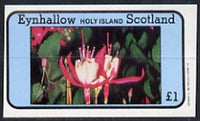Eynhallow 1982 Flowers #08 (Fuschias) imperf,souvenir sheet (£1 value) unmounted mint