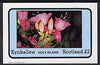 Eynhallow 1982 Flowers #08 (Fuschias) imperf,deluxe sheet (£2 value) unmounted mint