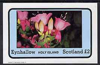 Eynhallow 1982 Flowers #08 (Fuschias) imperf,deluxe sheet (£2 value) unmounted mint