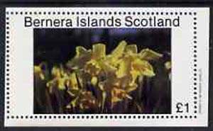 Bernera 1982 Flowers #07 imperf,souvenir sheet (£1 value) unmounted mint