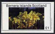 Bernera 1982 Flowers #07 imperf,souvenir sheet (£1 value) unmounted mint
