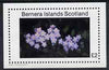 Bernera 1982 Flowers #07 imperf,se-luxe sheet (£2 value) unmounted mint