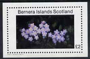 Bernera 1982 Flowers #07 imperf,se-luxe sheet (£2 value) unmounted mint