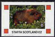 Staffa 1982 Animals (Guinea Pig) imperf,deluxe sheet (£2 value) unmounted mint