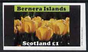 Bernera 1982 Flowers #08 (Tulips) imperf,souvenir sheet (£1 value) unmounted mint