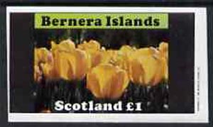 Bernera 1982 Flowers #08 (Tulips) imperf,souvenir sheet (£1 value) unmounted mint