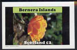Bernera 1982 Flowers #08 imperf,deluxe sheet (£2 value) unmounted mint