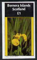Bernera 1982 Flowers #09 (Iris) imperf,souvenir sheet (£1 value) unmounted mint