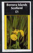 Bernera 1982 Flowers #09 (Iris) imperf,souvenir sheet (£1 value) unmounted mint