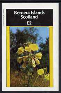 Bernera 1982 Flowers #09 imperf,deluxe sheet (£2 value) unmounted mint