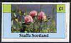 Staffa 1982 Wild Flowers (Clover) imperf,souvenir sheet (£1 value) unmounted mint