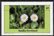 Staffa 1982 Wild Flowers (Daisy) imperf,deluxe sheet (£2 value) unmounted mint