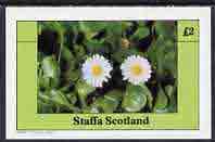 Staffa 1982 Wild Flowers (Daisy) imperf,deluxe sheet (£2 value) unmounted mint