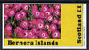 Bernera 1982 Flowers #10 imperf,souvenir sheet (£1 value) unmounted mint