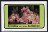 Eynhallow 1982 Flowers #09 imperf,deluxe sheet (£2 value) unmounted mint