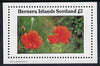 Bernera 1982 Flowers #11 (Poppy) imperf,deluxe sheet (£2 value) unmounted mint