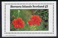 Bernera 1982 Flowers #11 (Poppy) imperf,deluxe sheet (£2 value) unmounted mint