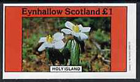 Eynhallow 1982 Flowers #10 imperf,souvenir sheet (£1 value) unmounted mint