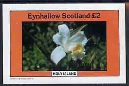Eynhallow 1982 Flowers #10 imperf,deluxe sheet (£2 value) unmounted mint
