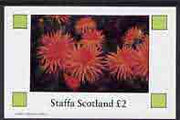Staffa 1982 Flowers #13 imperf,deluxe sheet (£2 value) unmounted mint