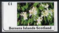 Bernera 1982 Flowers #12 imperf,souvenir sheet (£1 value) unmounted mint