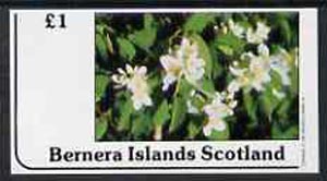 Bernera 1982 Flowers #12 imperf,souvenir sheet (£1 value) unmounted mint