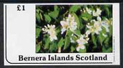 Bernera 1982 Flowers #12 imperf,souvenir sheet (£1 value) unmounted mint