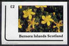 Bernera 1982 Flowers #12 imperf,deluxe sheet (£2 value) unmounted mint