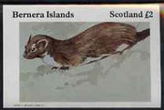Bernera 1982 Animals imperf,deluxe sheet (£2 value Pole Cat) unmounted mint