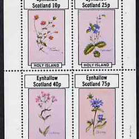 Eynhallow 1982 Flowers #11 perf,set of 4 values (Scarlet Pimpernel, Speedwell, etc) unmounted mint