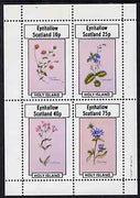 Eynhallow 1982 Flowers #11 perf,set of 4 values (Scarlet Pimpernel, Speedwell, etc) unmounted mint