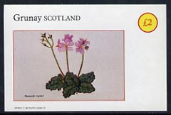 Grunay 1982 Flowers #01 imperf deluxe sheet (£2 value Ramonda Myconi) unmounted mint