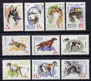 Russia 1965 Hunting & Service Dogs set of 10 unmounted mint, SG 3093-3104, Mi 3020-29*