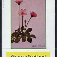 Grunay 1982 Flowers #02 imperf deluxe sheet (£2 value Bellis perennis) unmounted mint