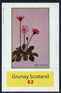 Grunay 1982 Flowers #02 imperf deluxe sheet (£2 value Bellis perennis) unmounted mint