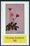 Grunay 1982 Flowers #02 imperf deluxe sheet (£2 value Bellis perennis) unmounted mint