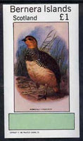 Bernera 1982 Partridge imperf souvenir sheet (£1 value) unmounted mint