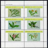 Bernera 1982 Plants #2 (Mistletoe, Thorn Apple, etc) perf set of 6 values (15p to 75p) unmounted mint