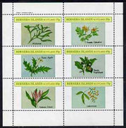 Bernera 1982 Plants #2 (Mistletoe, Thorn Apple, etc) perf set of 6 values (15p to 75p) unmounted mint