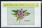 Bernera 1982 Plants #2 (Henbane) imperf deluxe sheet (£2 value) unmounted mint