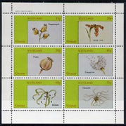Grunay 1982 Flower Seeds (Snapdragon, Iris, Poppy, etc) perf set of 6 (15p to 75p) unmounted mint