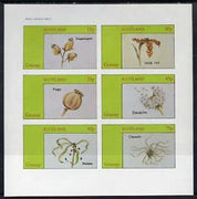 Grunay 1982 Flower Seeds (Snapdragon, Iris, Poppy, etc) imperf set of 6 (15p to 75p) unmounted mint