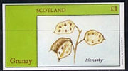 Grunay 1982 Flower Seeds (Honesty) imperf souvenir sheet (£1 value) unmounted mint
