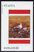 Staffa 1982 Birds #44 (Common Gull) imperf deluxe sheet (£2 value) unmounted mint
