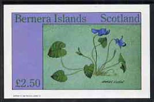 Bernera 1982 Flowers #14 (Sweet Violet) imperf,deluxe sheet (£2.50 value) unmounted mint