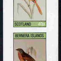 Bernera 1981 Birds #01 imperf,set of 2 values complete (40p & 60p) unmounted mint